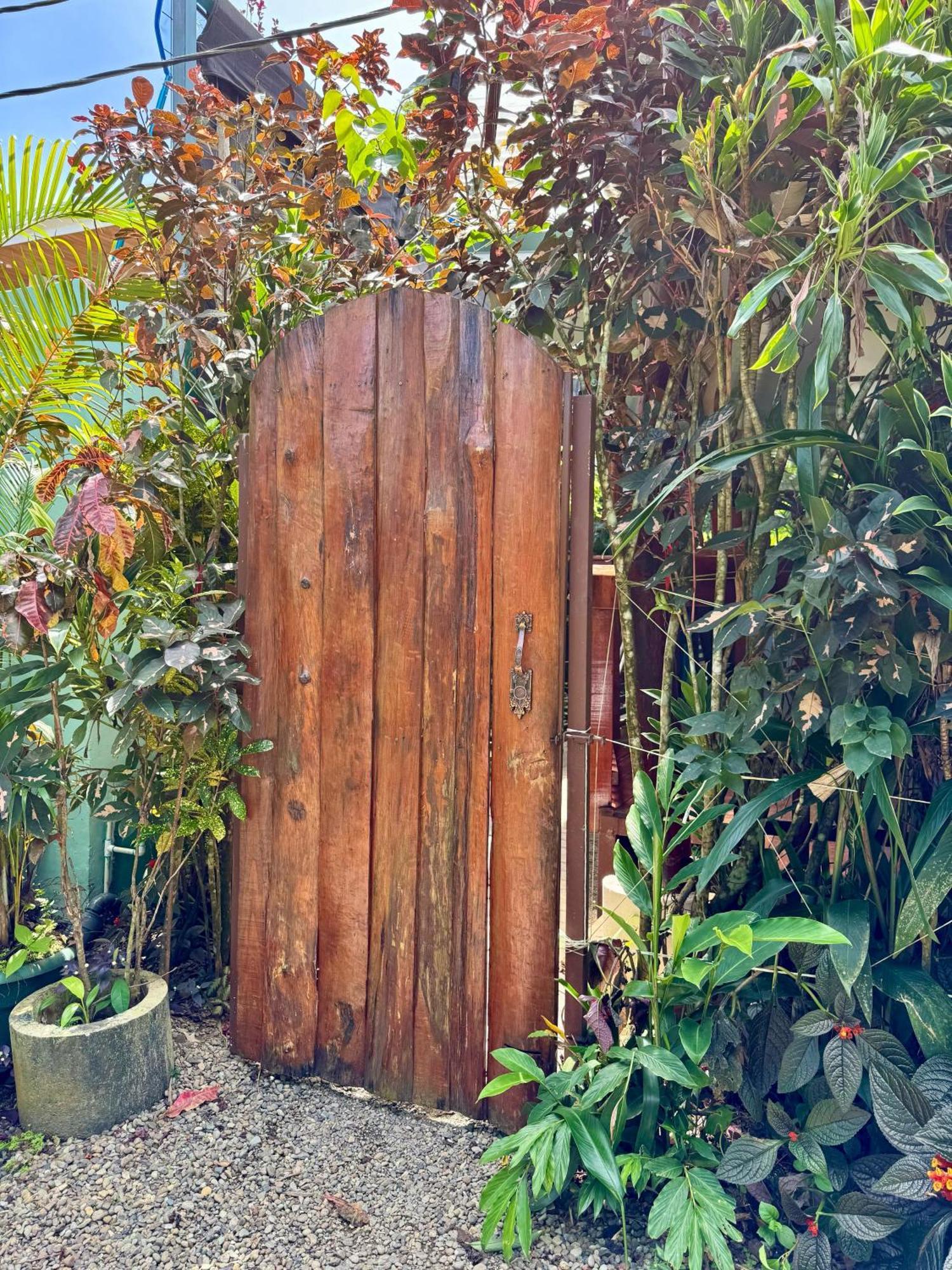 Puerto Viejo de Talamanca Colibri Ecolodge 3 Minutes Walk To Beach And Town מראה חיצוני תמונה