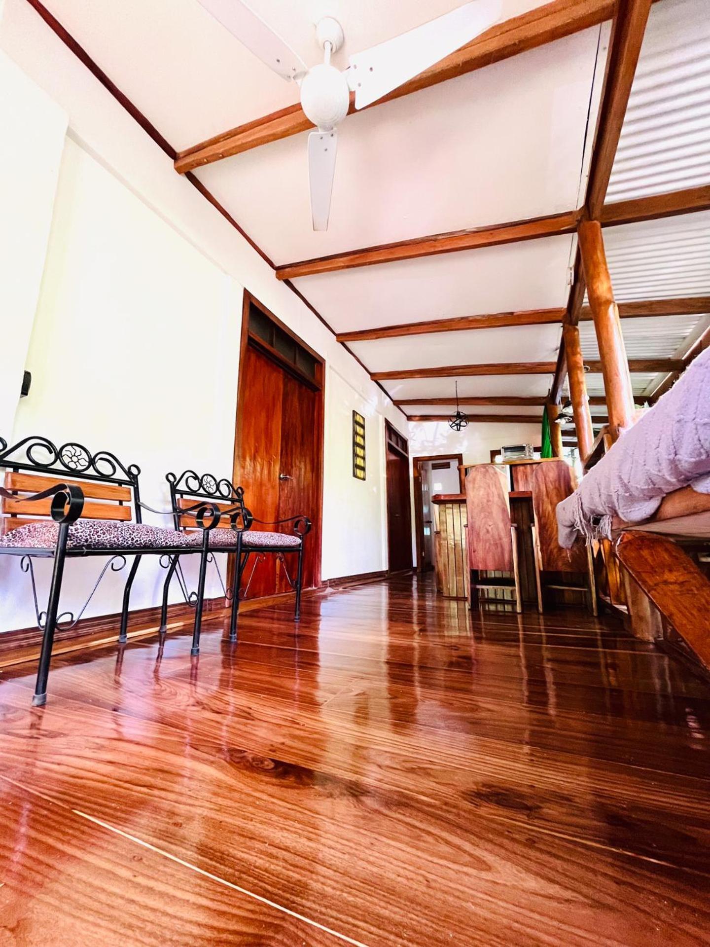 Puerto Viejo de Talamanca Colibri Ecolodge 3 Minutes Walk To Beach And Town מראה חיצוני תמונה